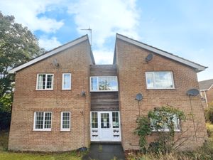 Photo 3- click for photo gallery